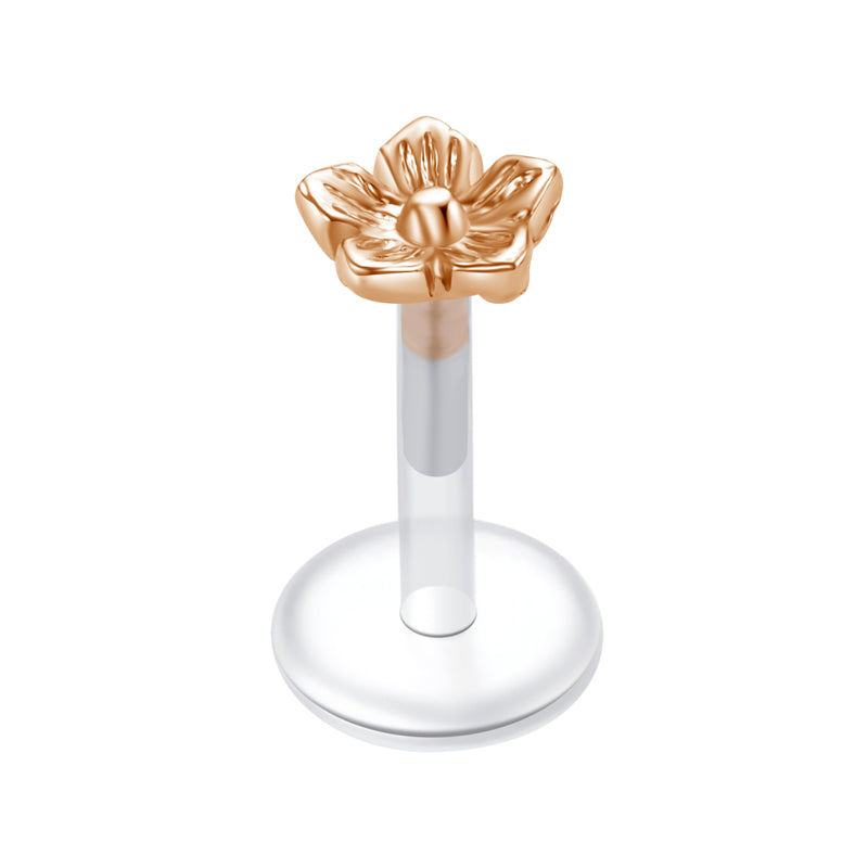 Plastic Tragus Earrings Push in