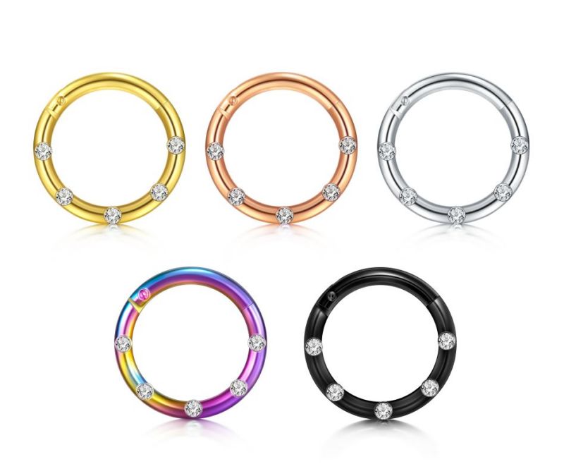 CZ Inlaid Segment Clicker Septum Ring Nose Helix Cartilage Earring Hoop Piercing