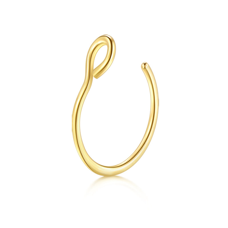 Small Circle Fake Nose Ring Hoop