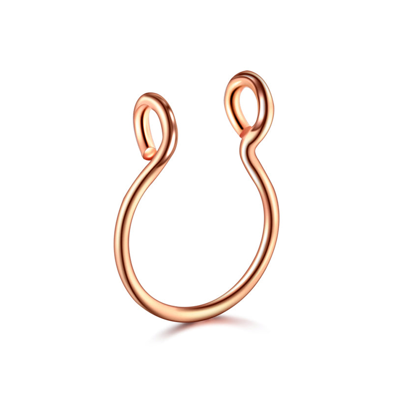 Two Small Circles Fake Nose Ring Hoop